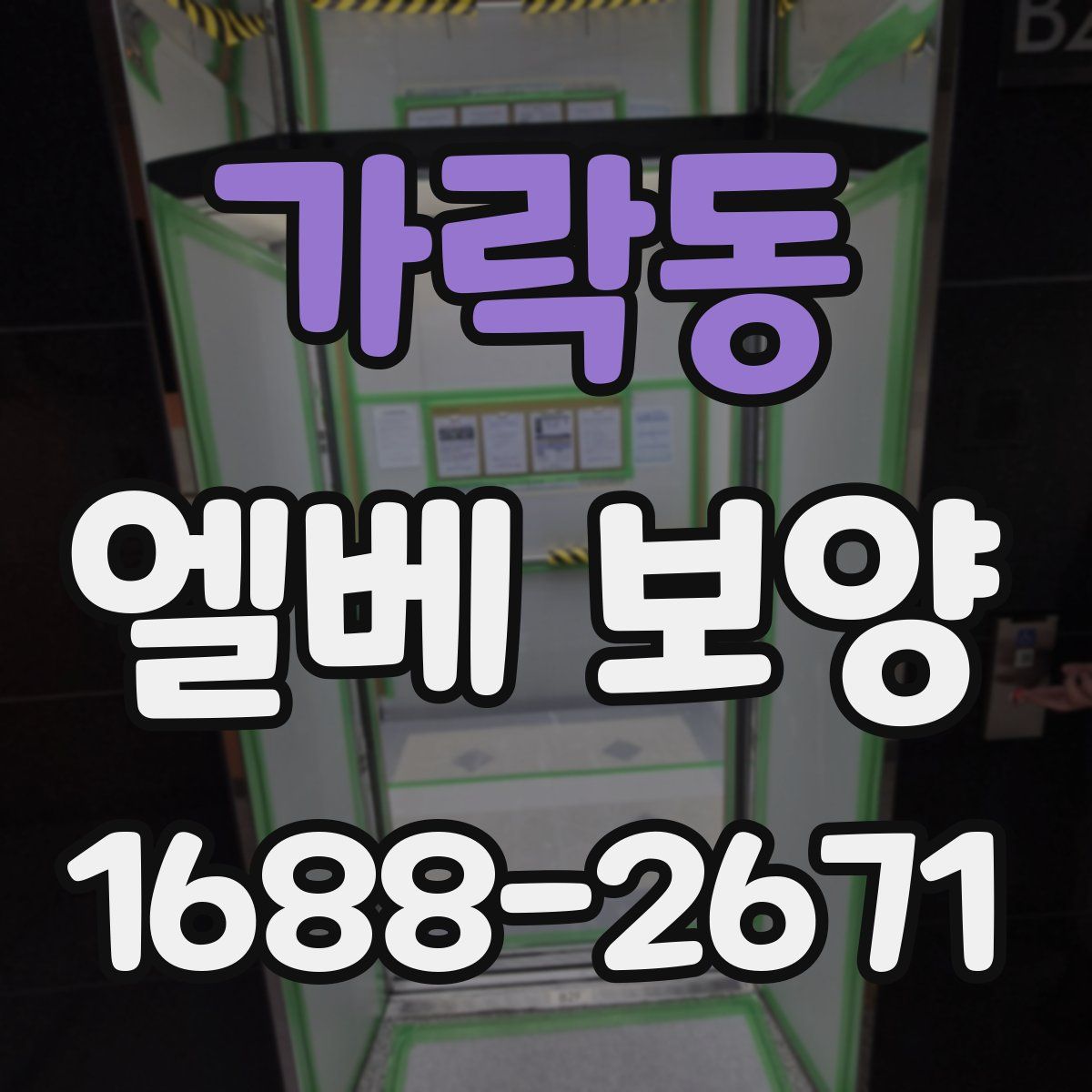 가락동 엘베 보양
