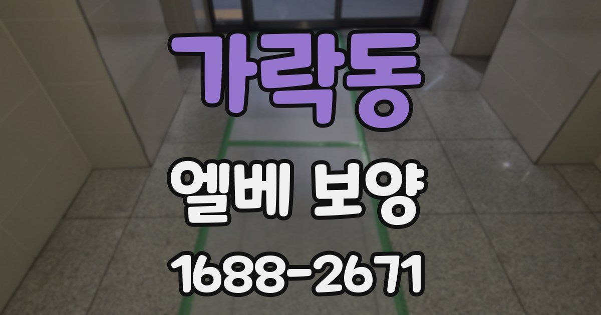 가락동 엘베 보양