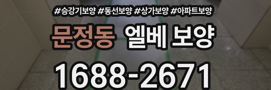 문정동 엘베 보양