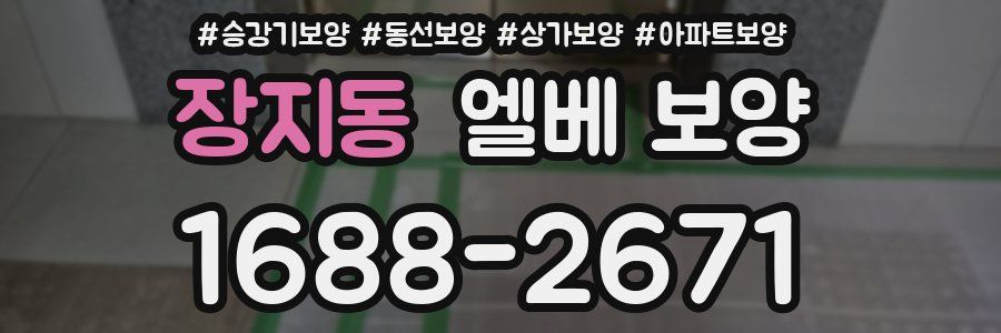 장지동 엘베 보양