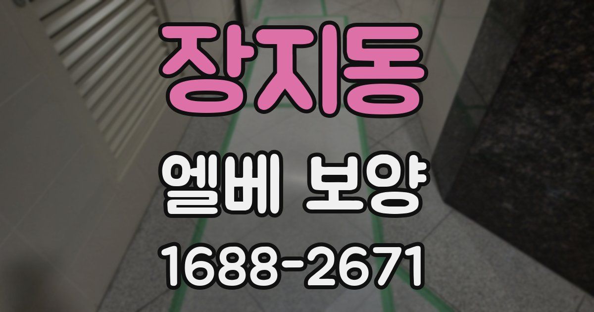 장지동 엘베 보양