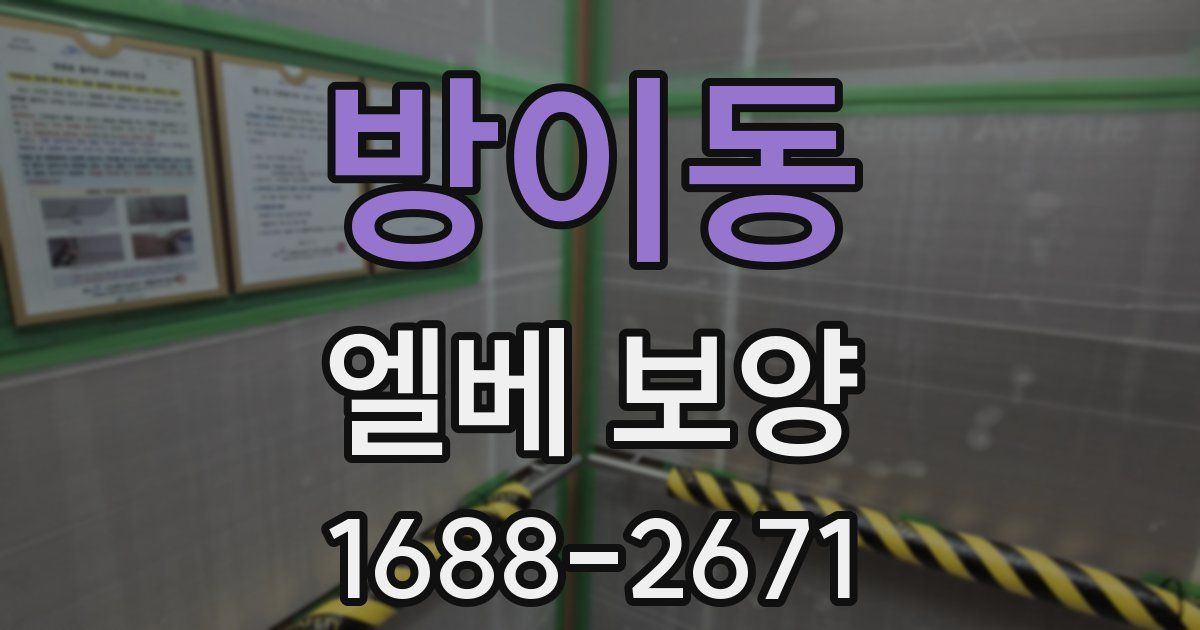 방이동 엘베 보양