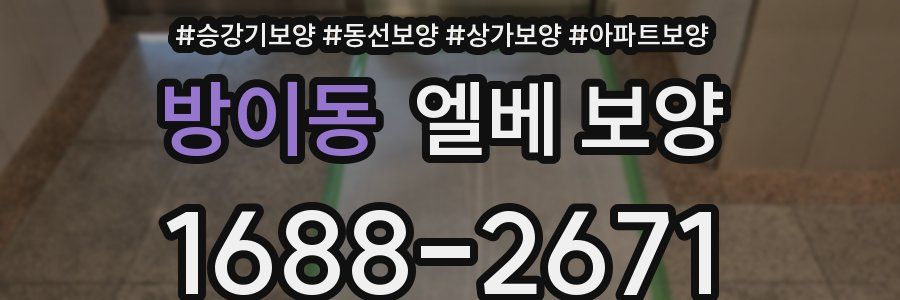 방이동 엘베 보양