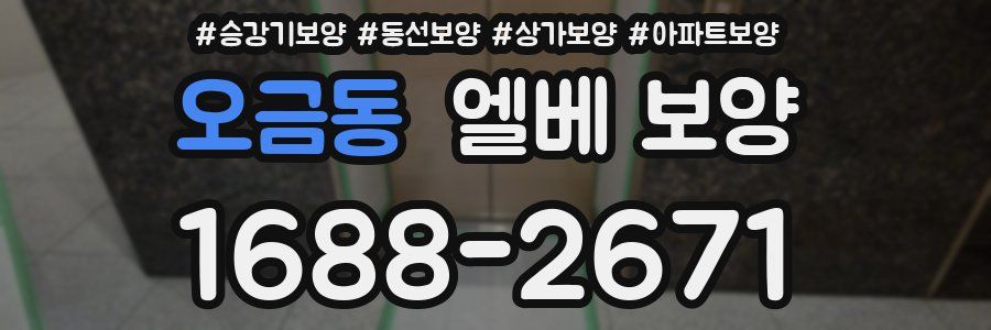 오금동 엘베 보양