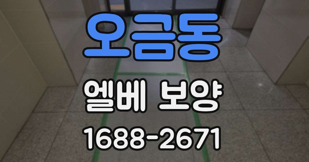 오금동 엘베 보양