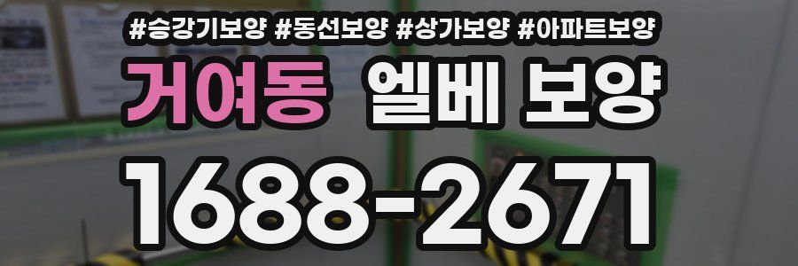 거여동 엘베 보양