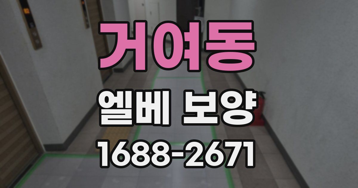 거여동 엘베 보양