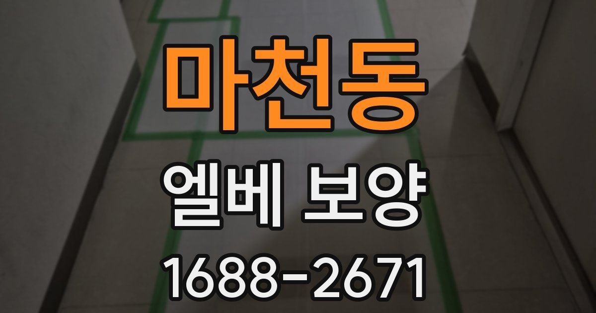 마천동 엘베 보양