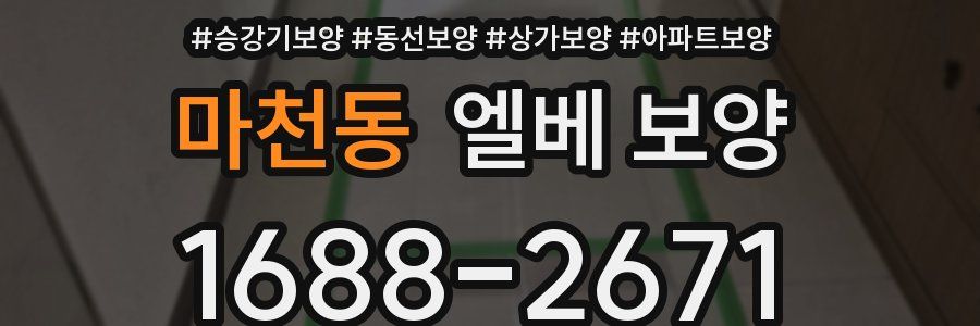 마천동 엘베 보양
