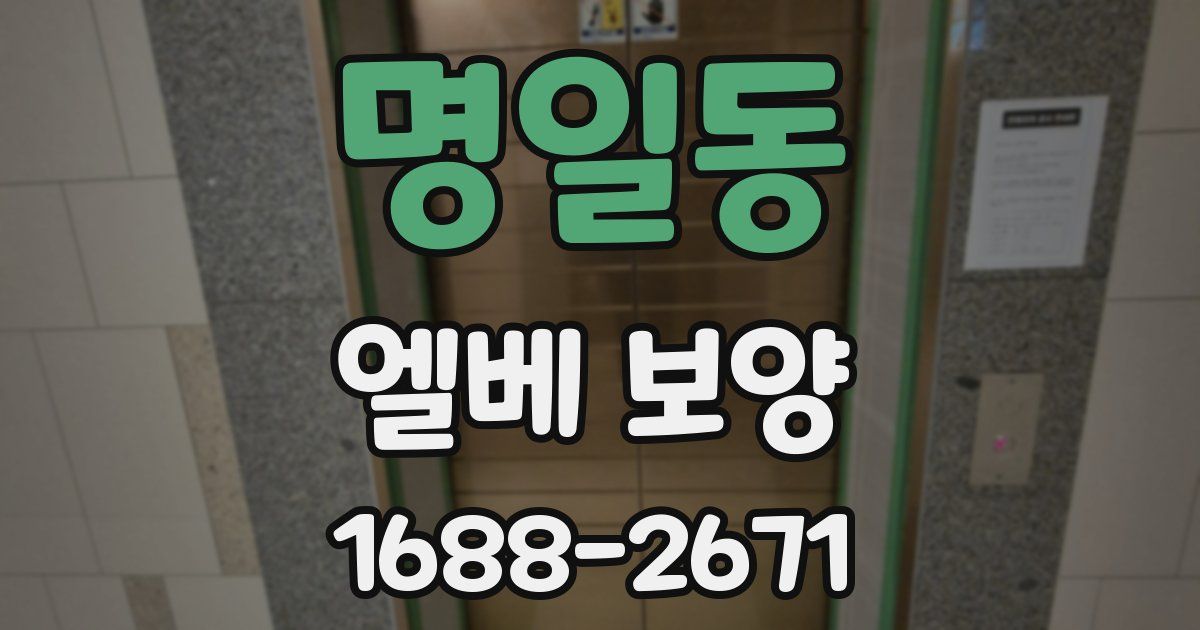명일동 엘베 보양