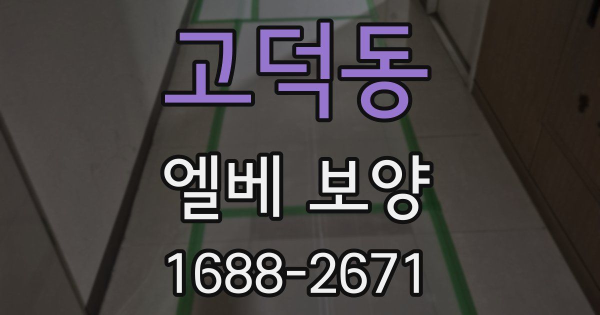 고덕동 엘베 보양