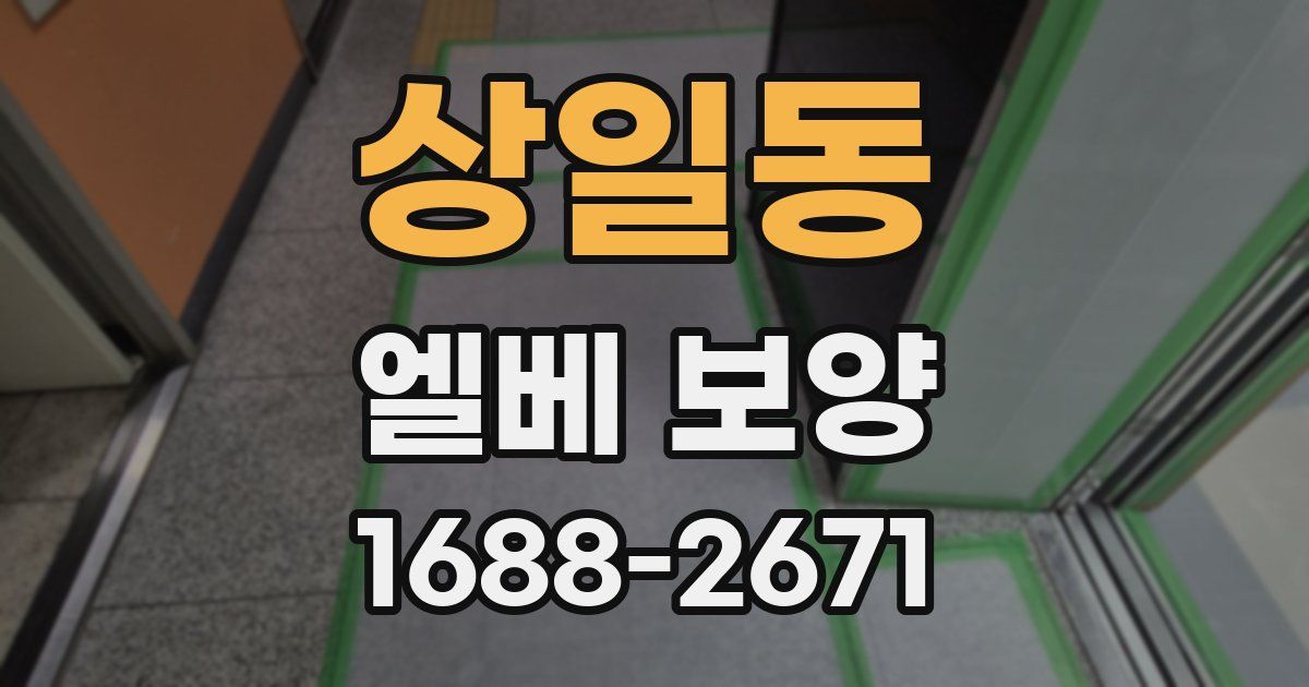 상일동 엘베 보양