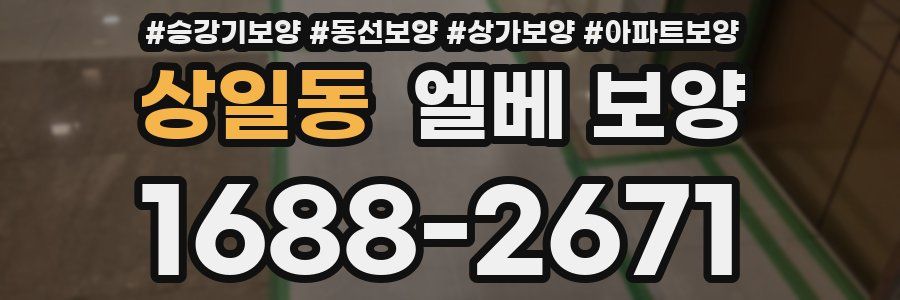 상일동 엘베 보양
