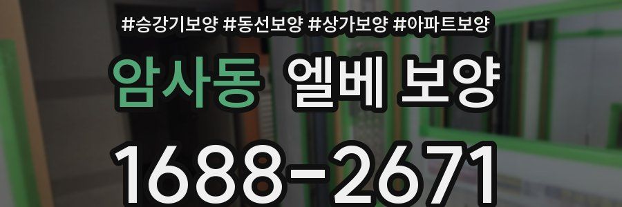 암사동 엘베 보양