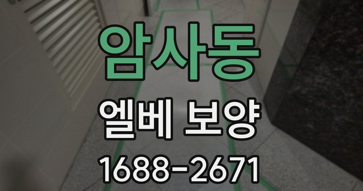 암사동 엘베 보양