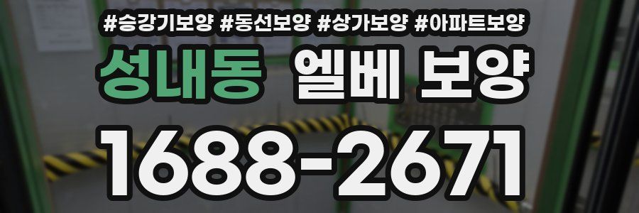 성내동 엘베 보양