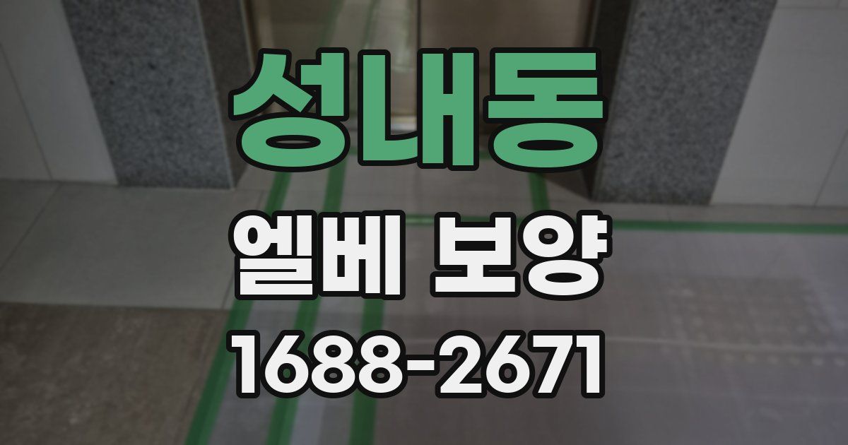성내동 엘베 보양