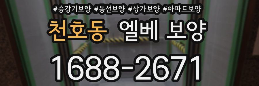 천호동 엘베 보양
