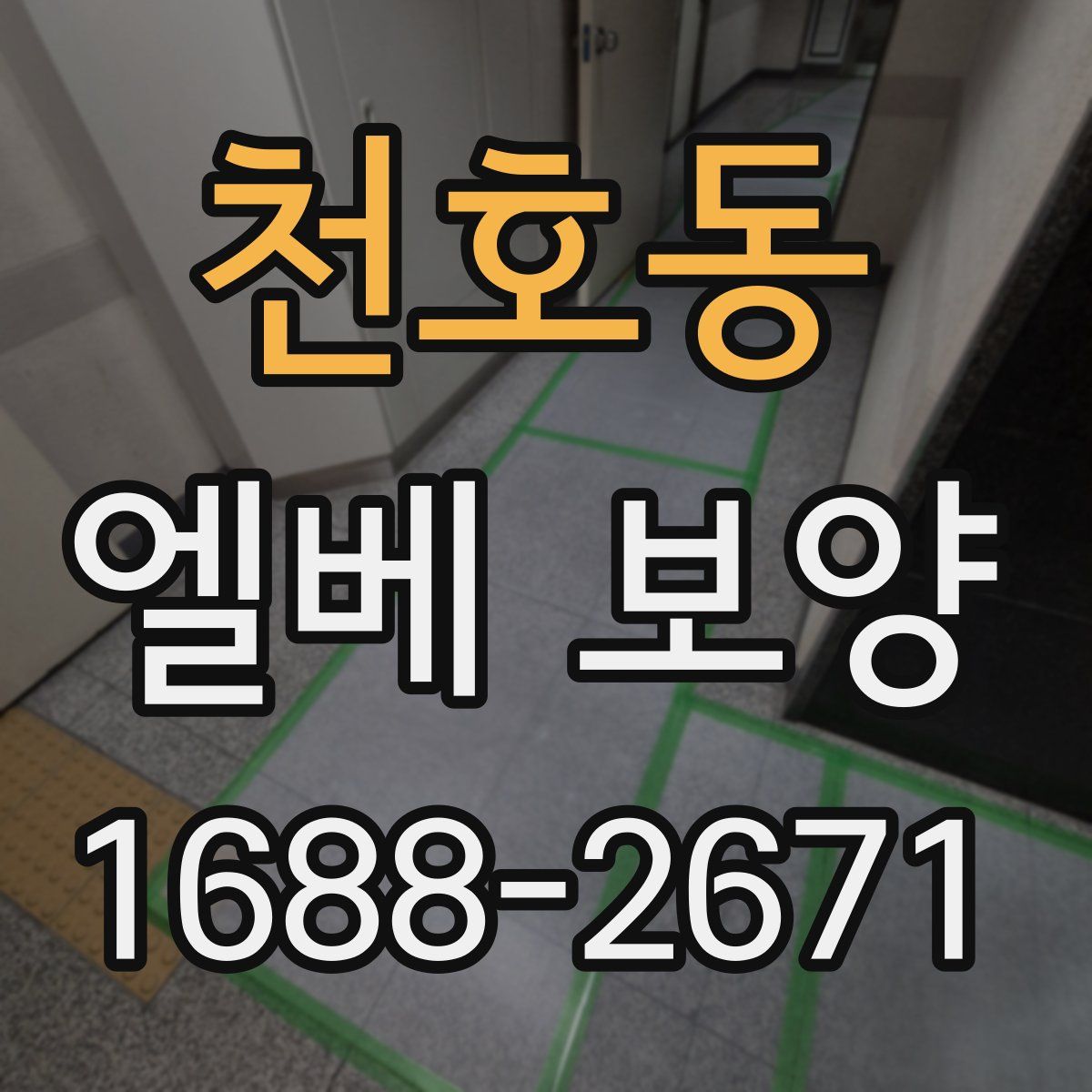 천호동 엘베 보양