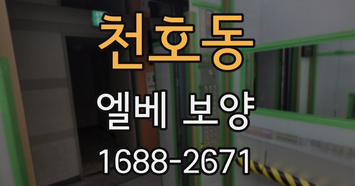천호동 엘베 보양