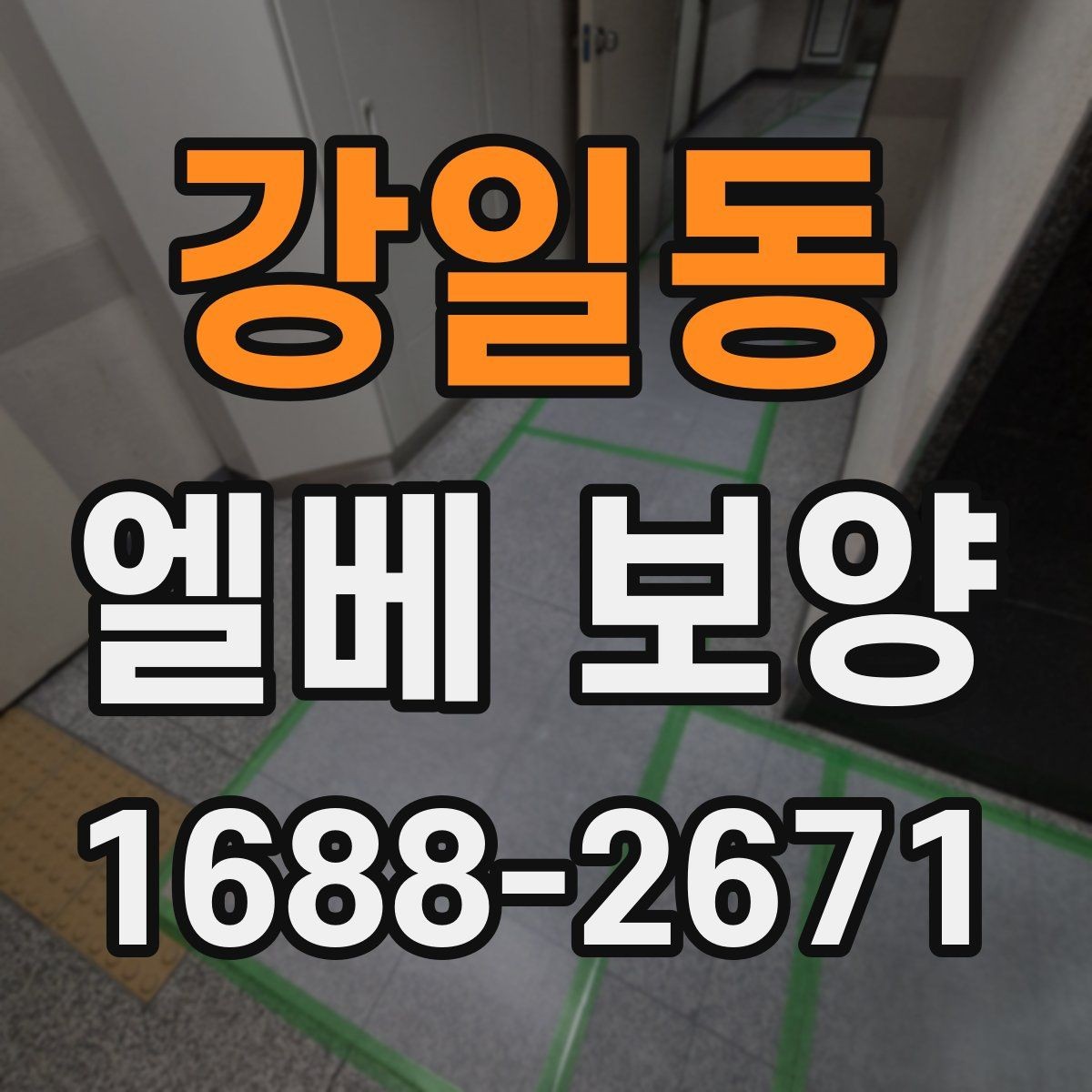 강일동 엘베 보양 비가 잦은 시기 오염 번짐을 막는 요령