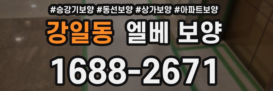 강일동 엘베 보양