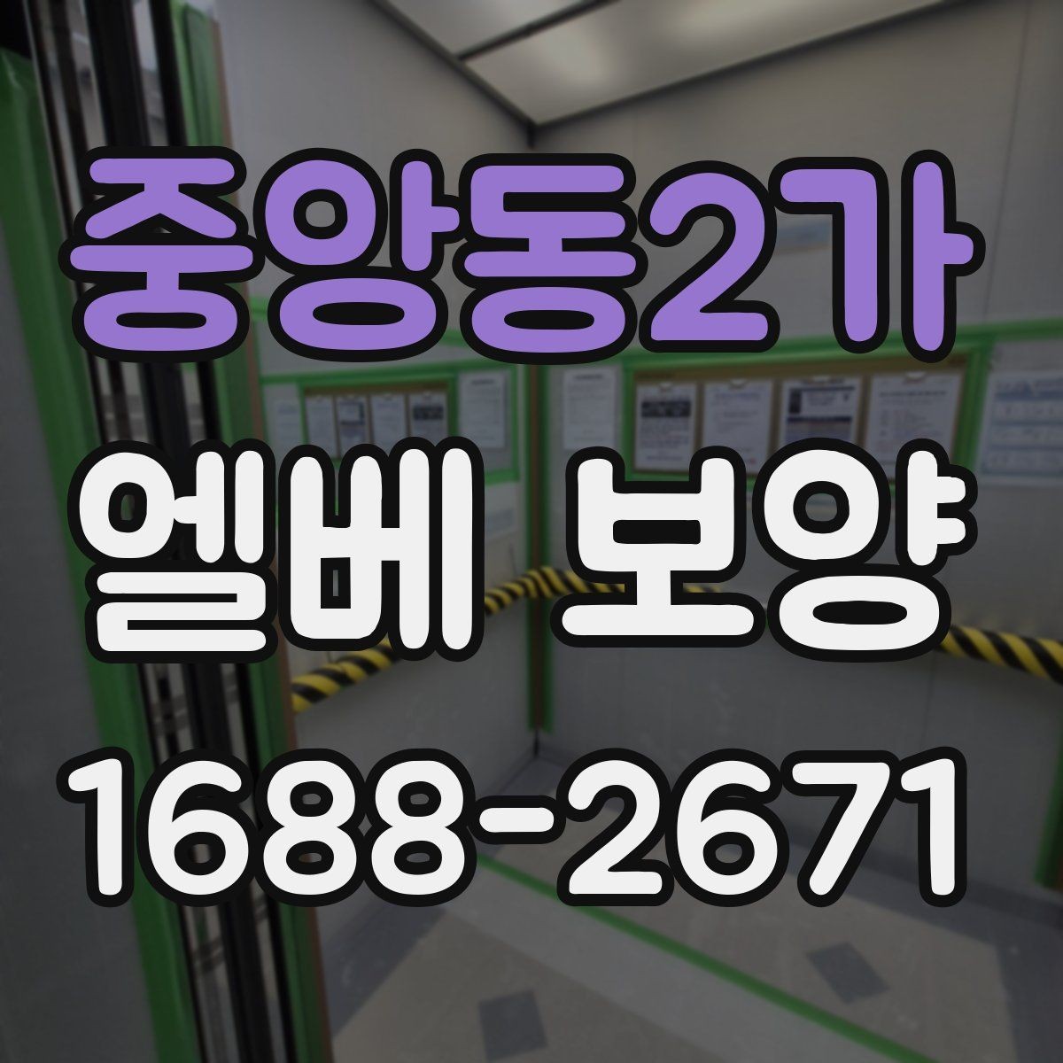 중앙동2가 엘베 보양 보양 자재 선택 시 현장 조건별 체크포인트