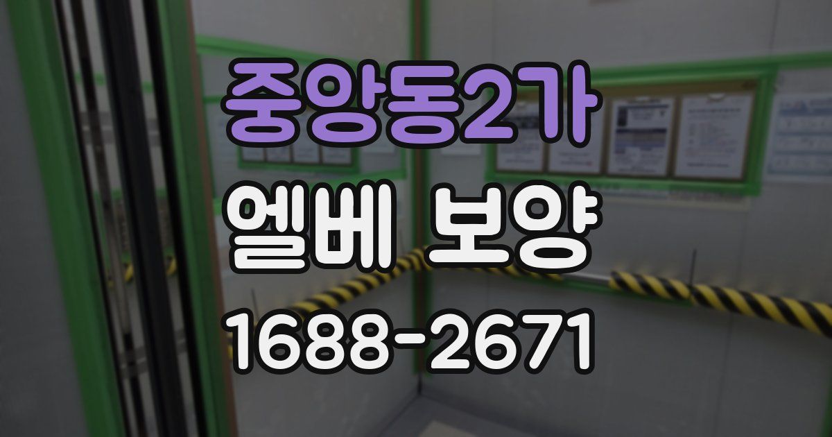 중앙동2가 엘베 보양