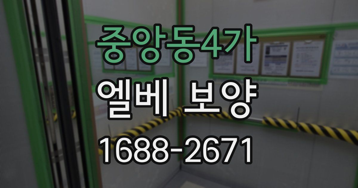 중앙동4가 엘베 보양
