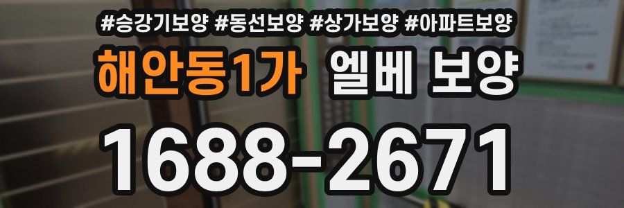 해안동1가 엘베 보양