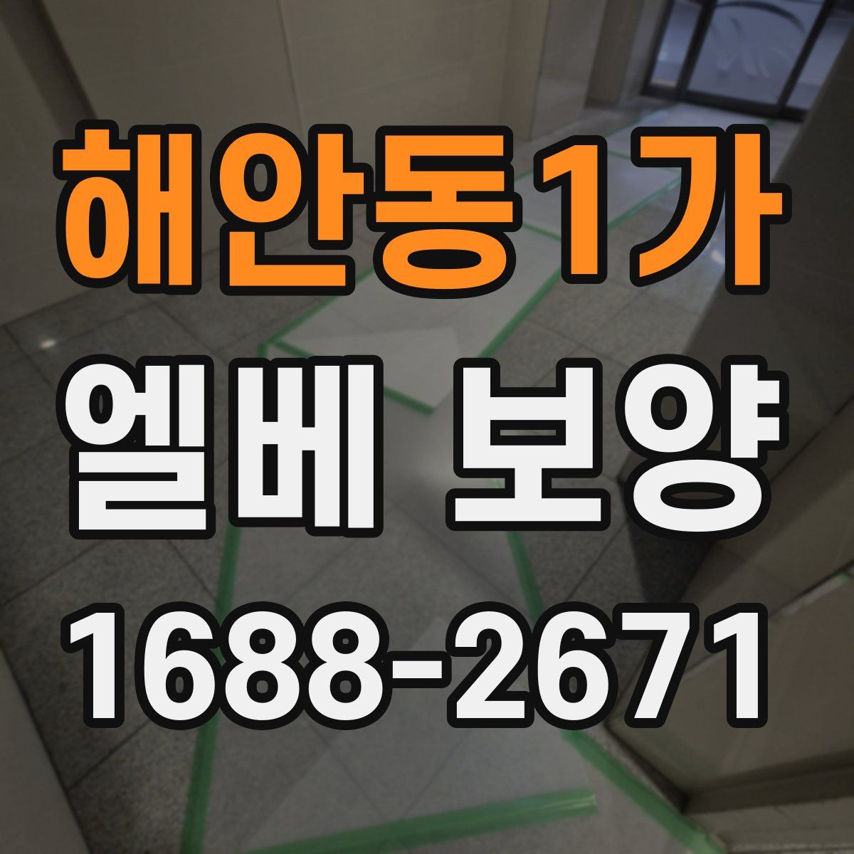 해안동1가 엘베 보양