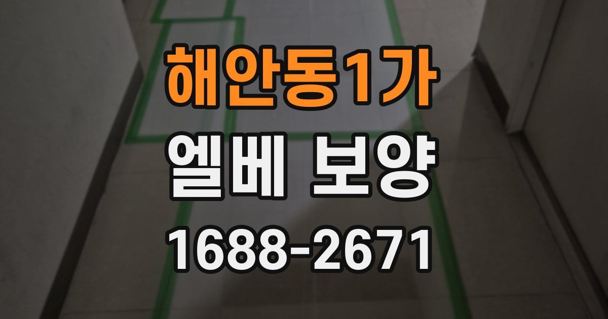 해안동1가 엘베 보양