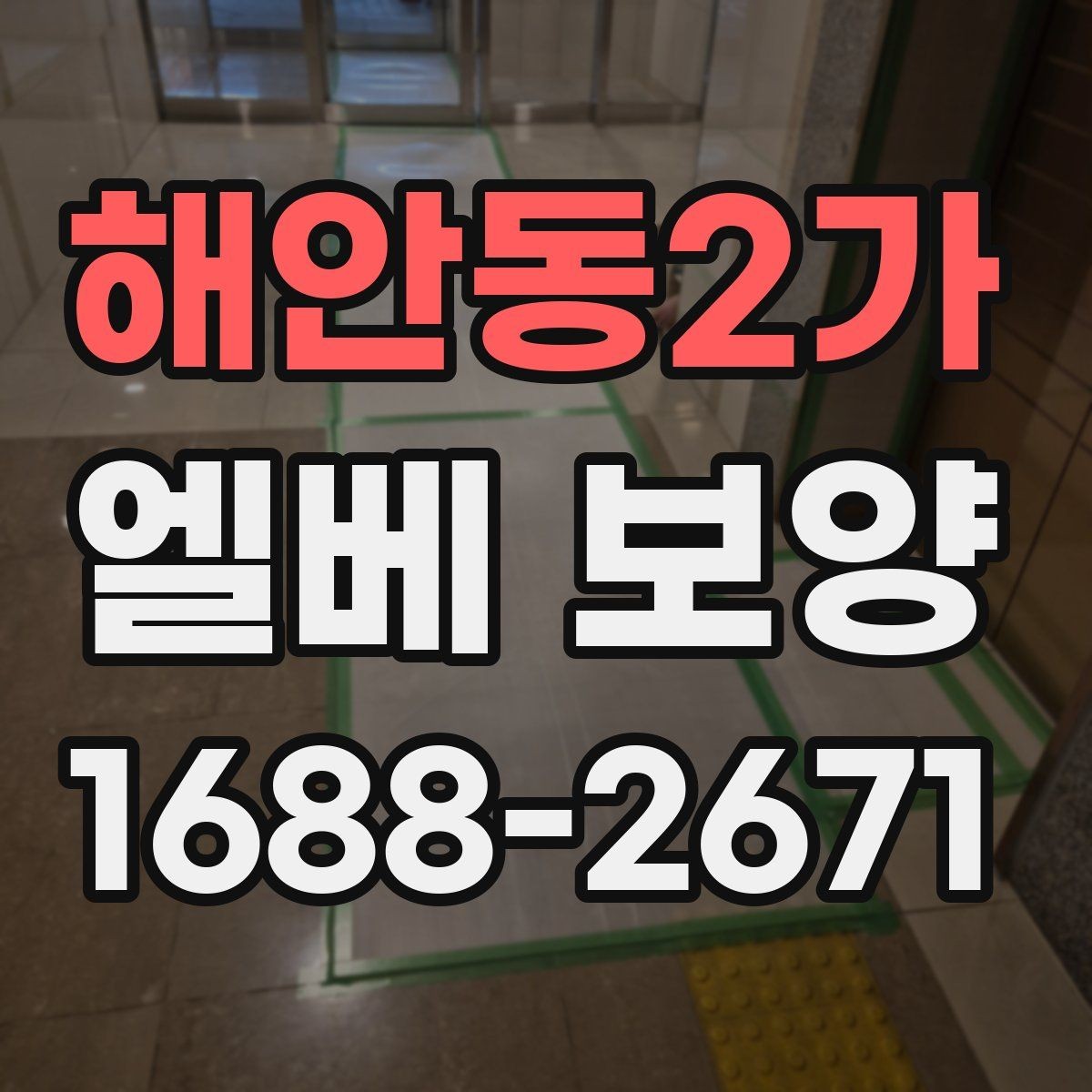 해안동2가 엘베 보양 대형 이사 현장에 맞춘 보호 범위 설정