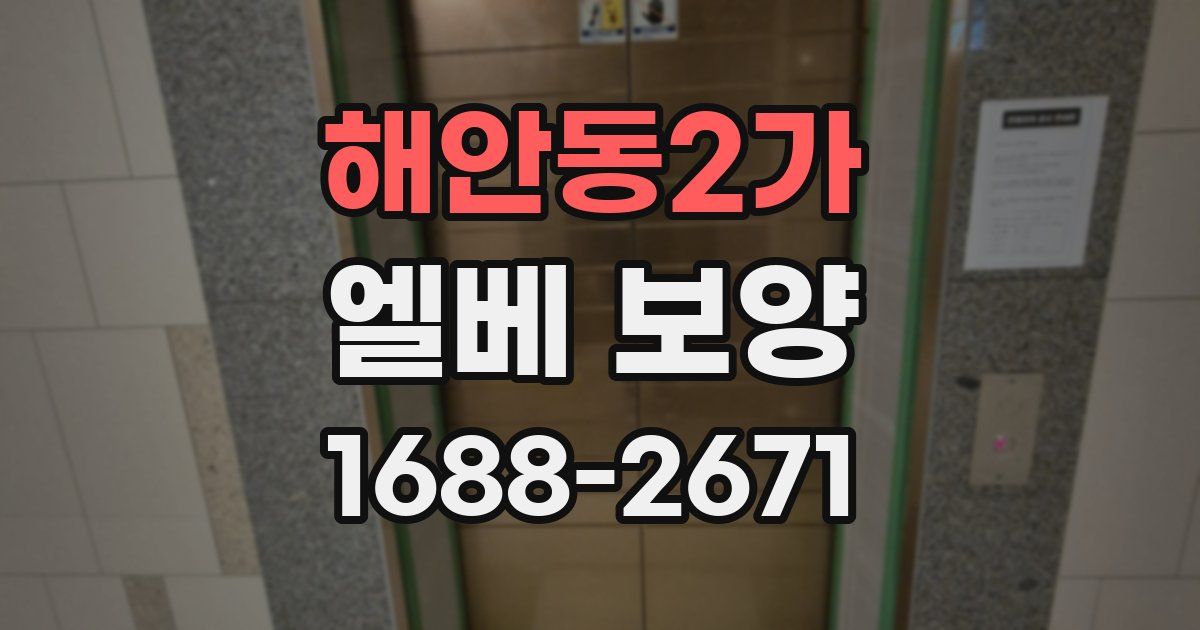 해안동2가 엘베 보양