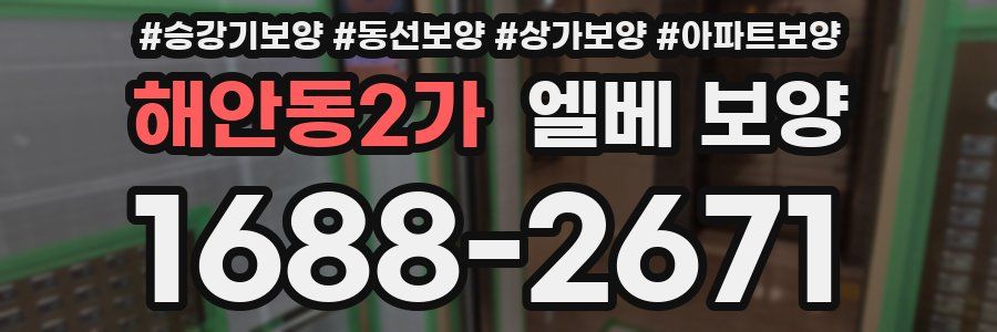 해안동2가 엘베 보양