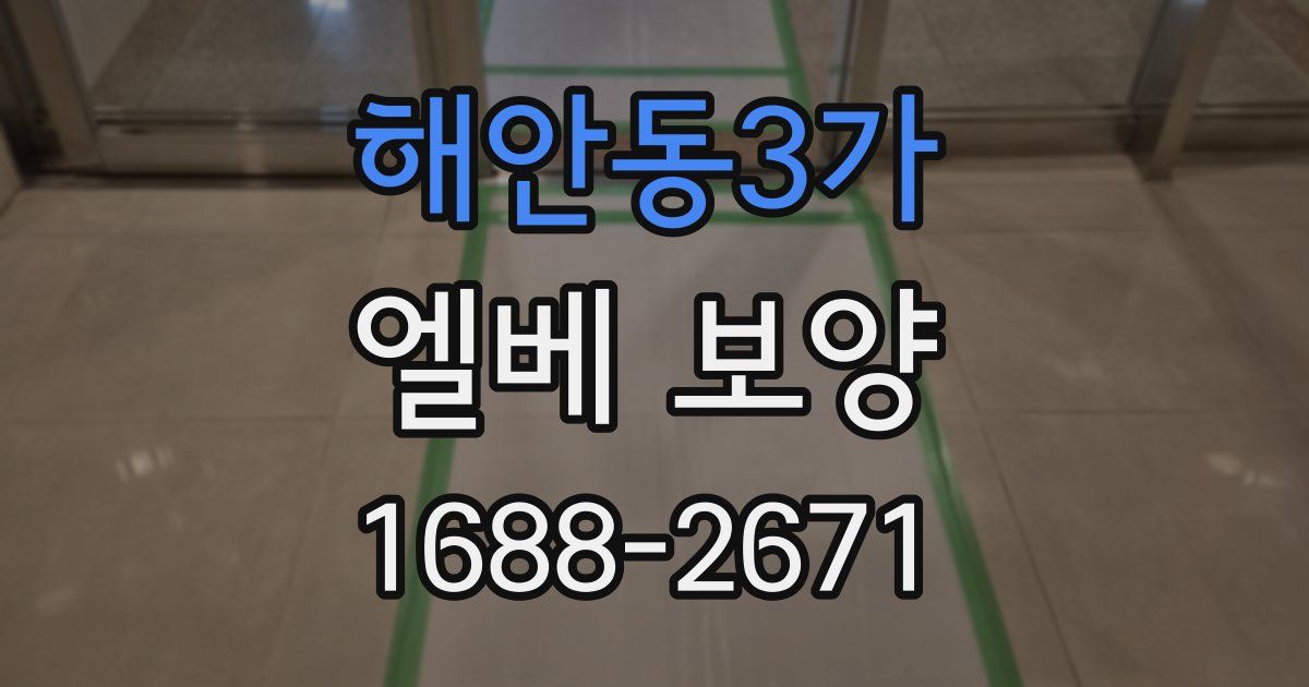 해안동3가 엘베 보양