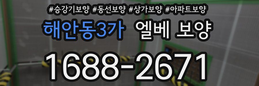 해안동3가 엘베 보양