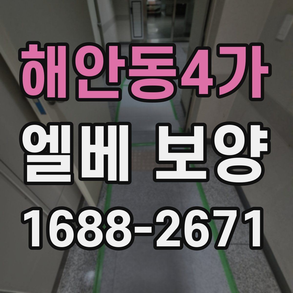 해안동4가 엘베 보양 습도 높은 현장에서 자재 변형을 줄이는 팁