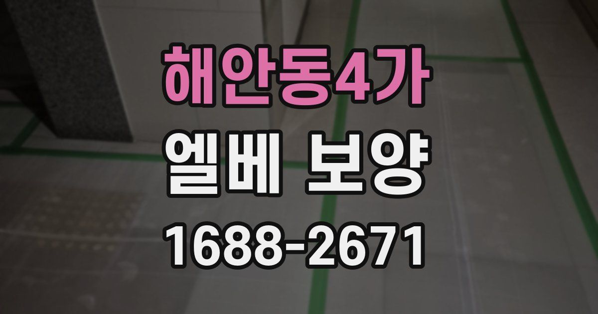 해안동4가 엘베 보양