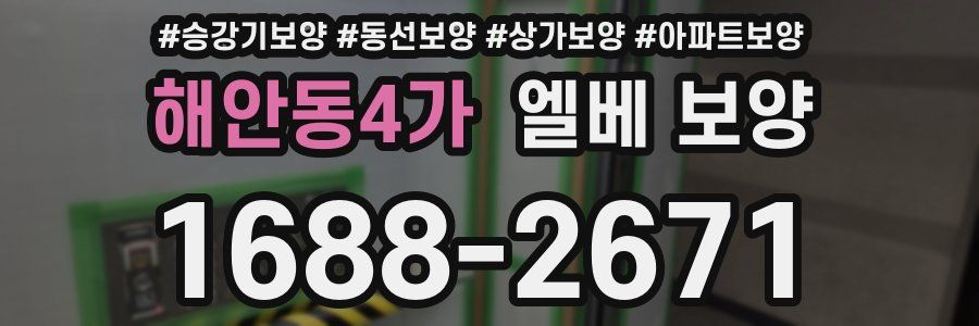 해안동4가 엘베 보양