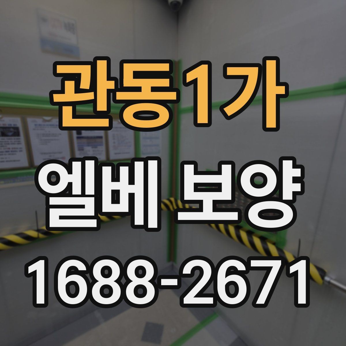 관동1가 엘베 보양 대형 이사 현장에 맞는 보호 범위 설정
