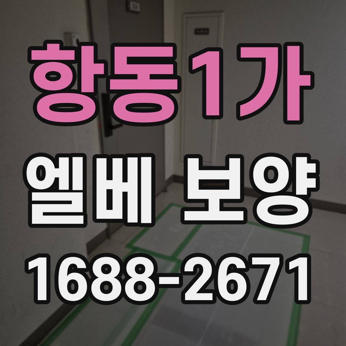 항동1가 엘베 보양 공사 분진 많은 환경에서도 청결을 유지하는 법