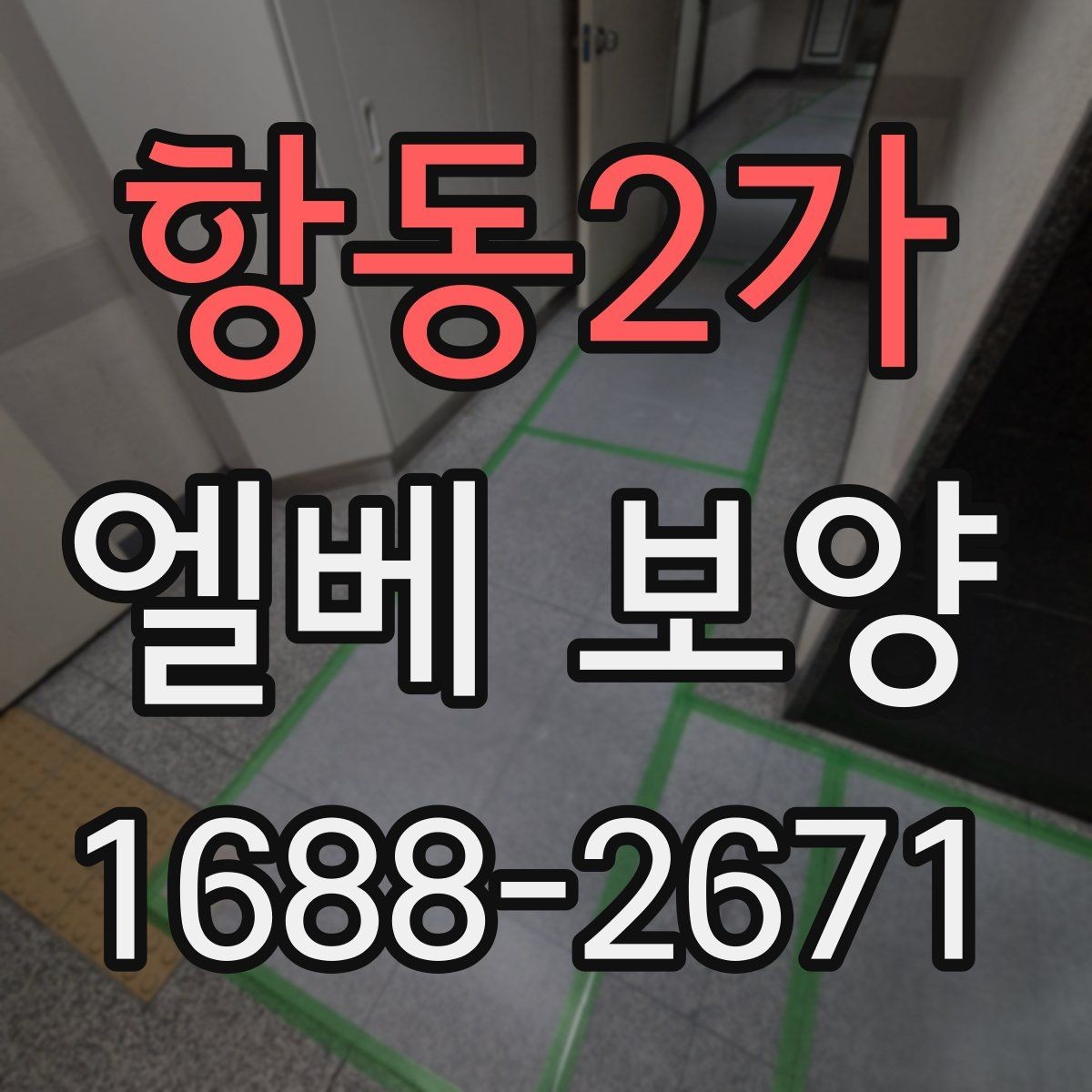 항동2가 엘베 보양 승강기 내부 마감 손상 줄이는 순서