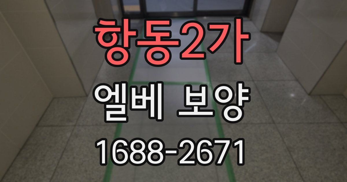 항동2가 엘베 보양