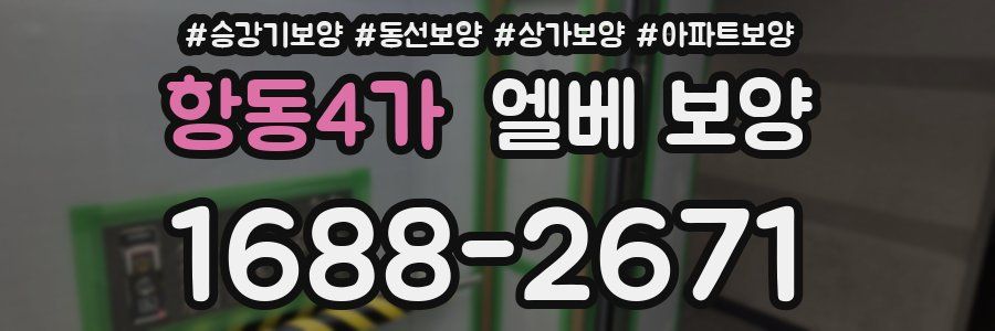 항동4가 엘베 보양