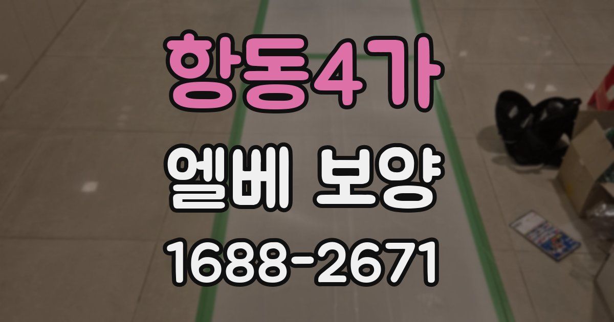 항동4가 엘베 보양