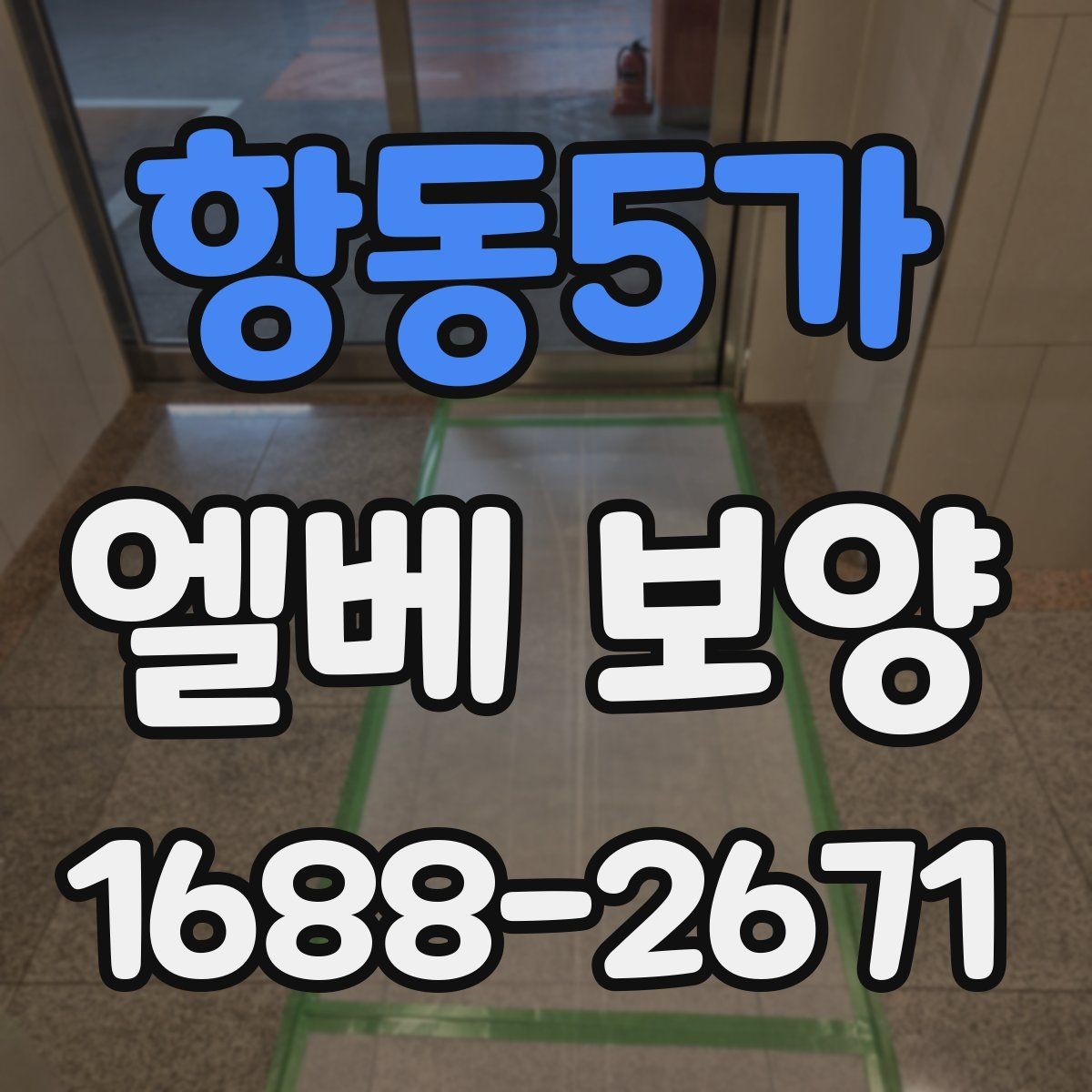 항동5가 엘베 보양 공용 승강기 사용 전 점검 항목