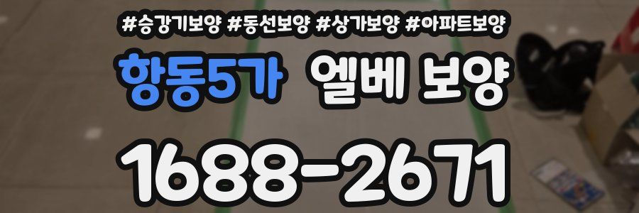 항동5가 엘베 보양