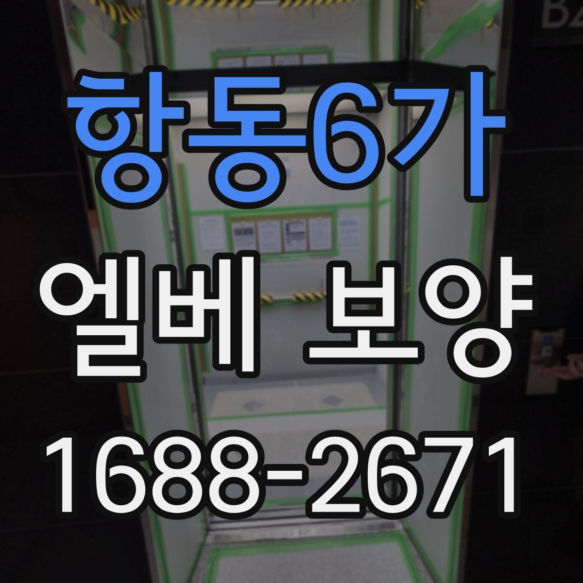 항동6가 엘베 보양 공사 전후 꼭 챙길 구역 정리