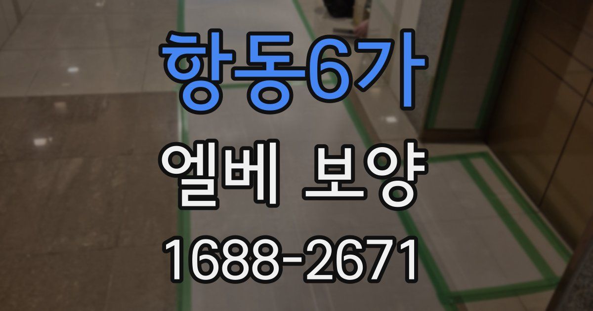 항동6가 엘베 보양
